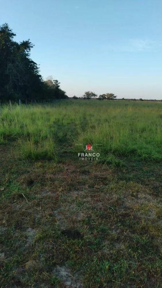 Fazenda, 1336 hectares - Foto 3