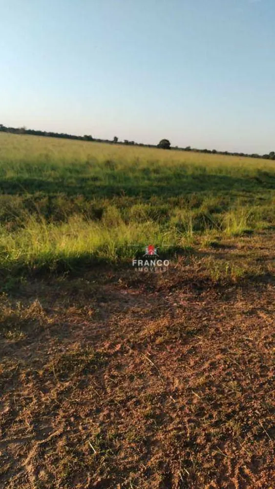Fazenda, 1336 hectares - Foto 4