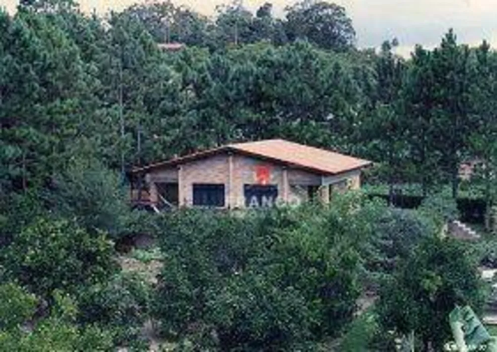 Chácara, 3 quartos, 5100 m² - Foto 3