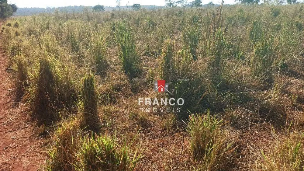 Sítio, 19 hectares - Foto 4