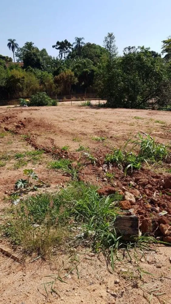 Terreno, 4500 m² - Foto 4