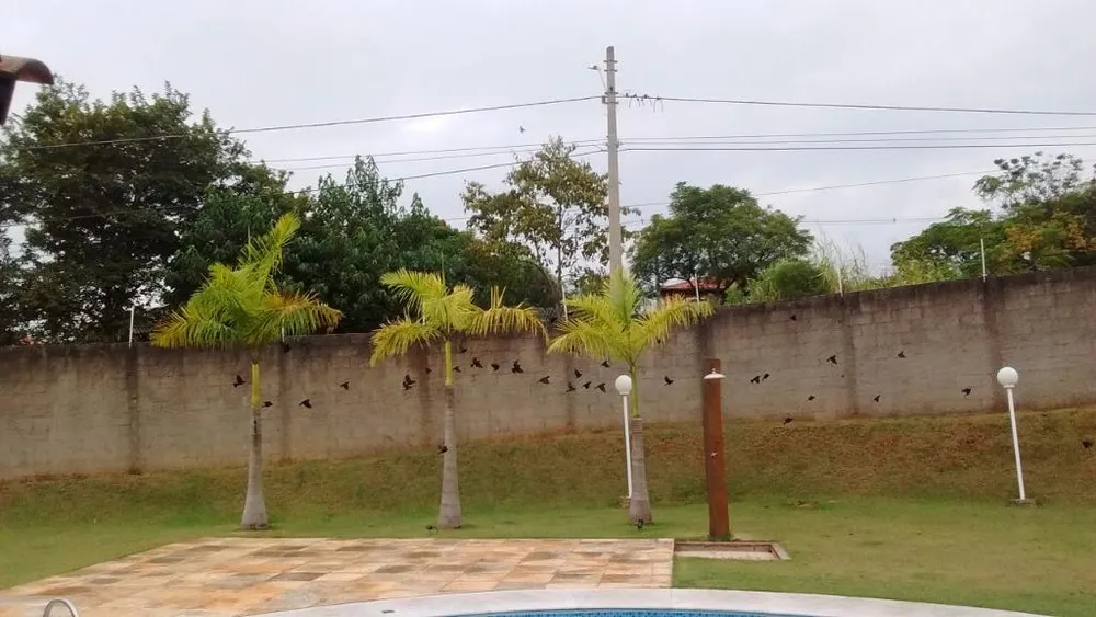 Chácara, 3 quartos, 1350 m² - Foto 4