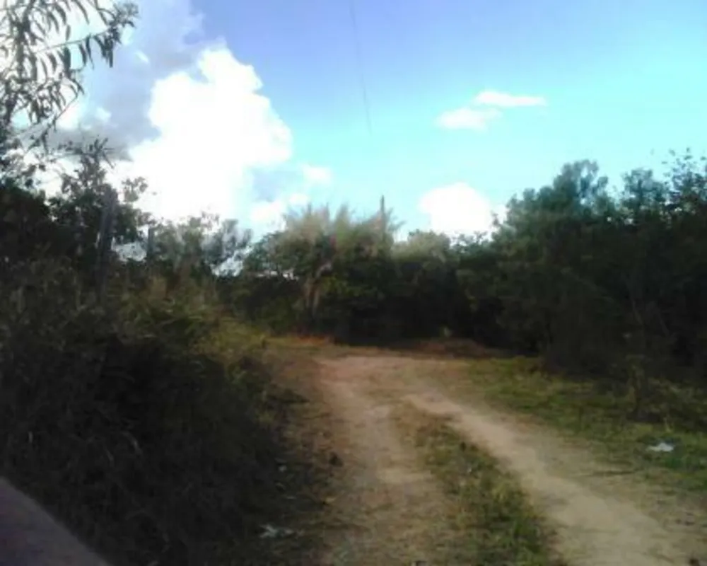 Sítio, 2 quartos, 3 hectares - Foto 3