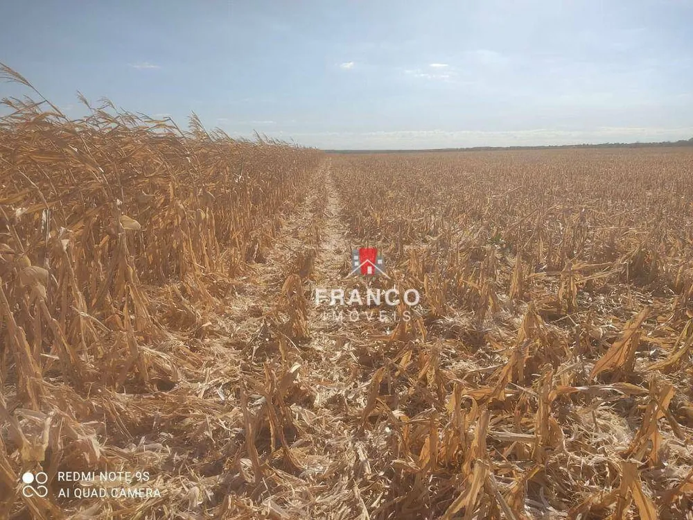 Fazenda, 2154 hectares - Foto 2