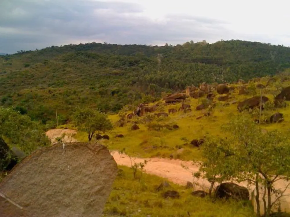Terreno, 16 hectares - Foto 1