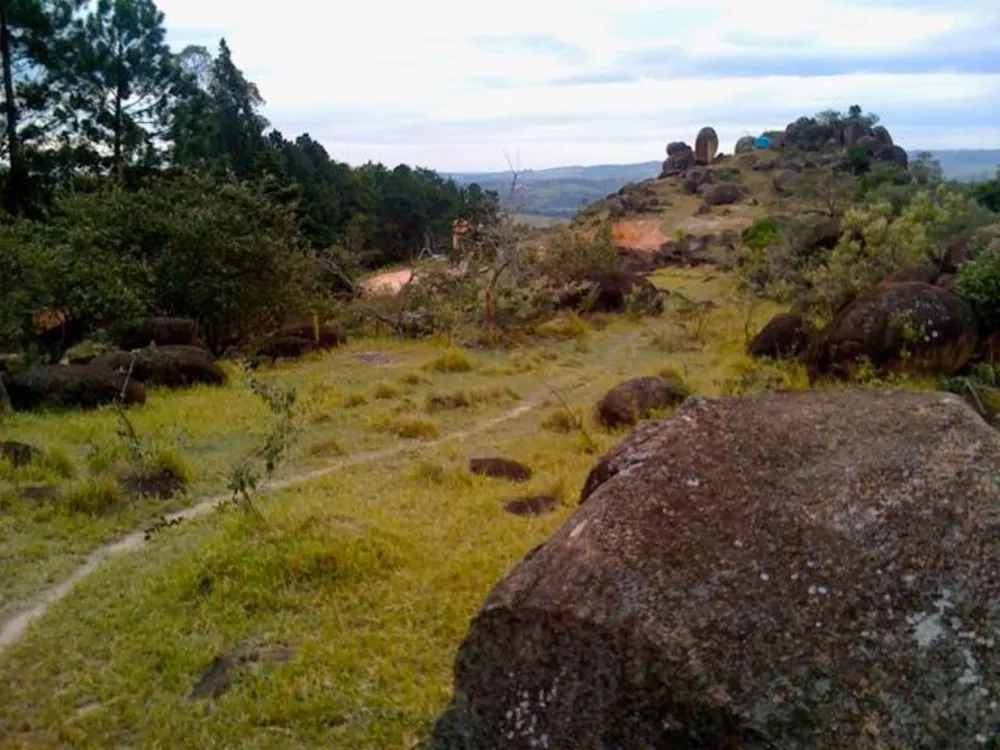 Terreno, 16 hectares - Foto 2