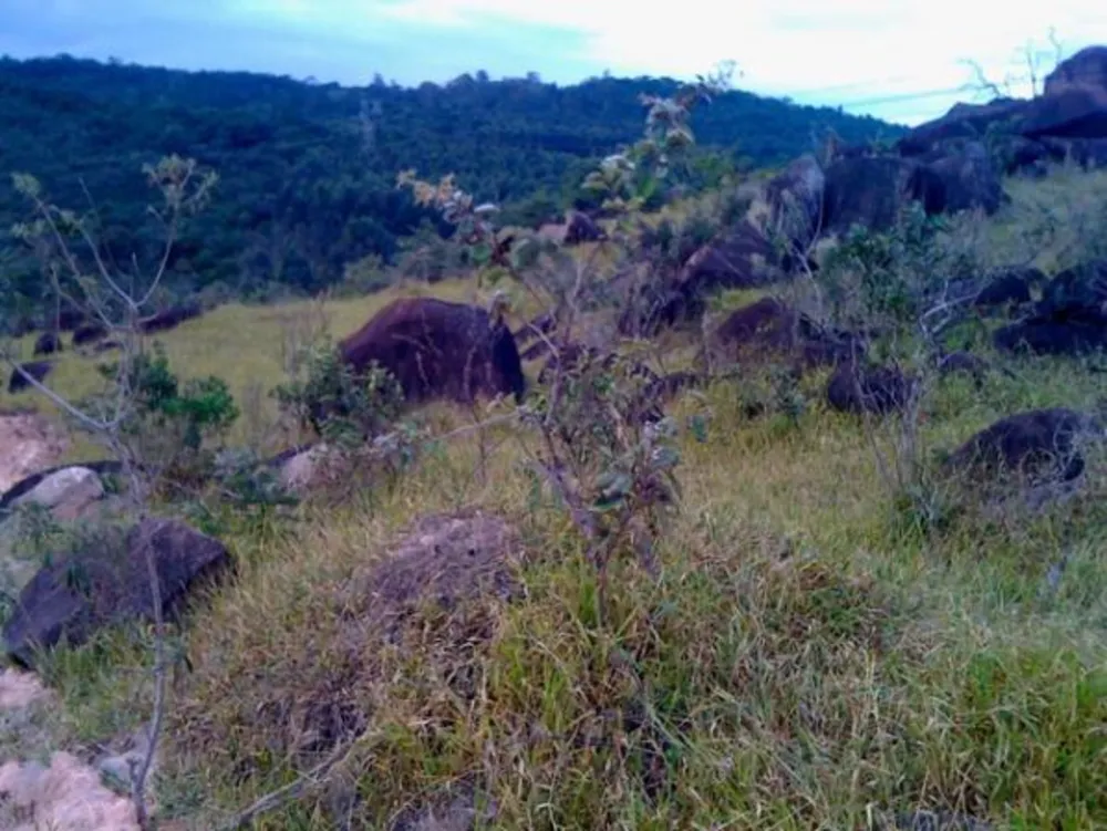 Terreno, 16 hectares - Foto 3