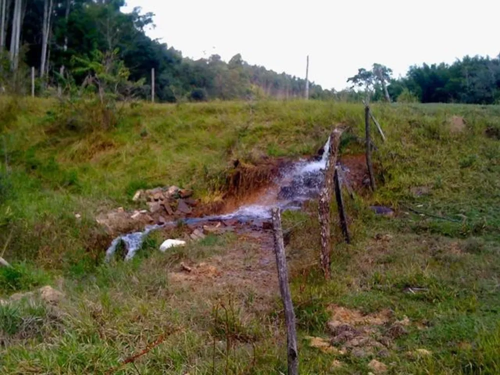 Terreno, 16 hectares - Foto 4