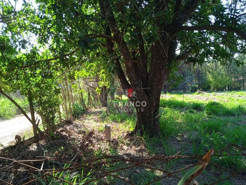 Terreno, 1 hectares - Foto 4