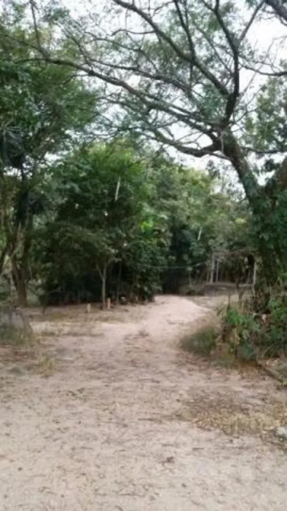 Chácara, 3 quartos, 1 hectares - Foto 1
