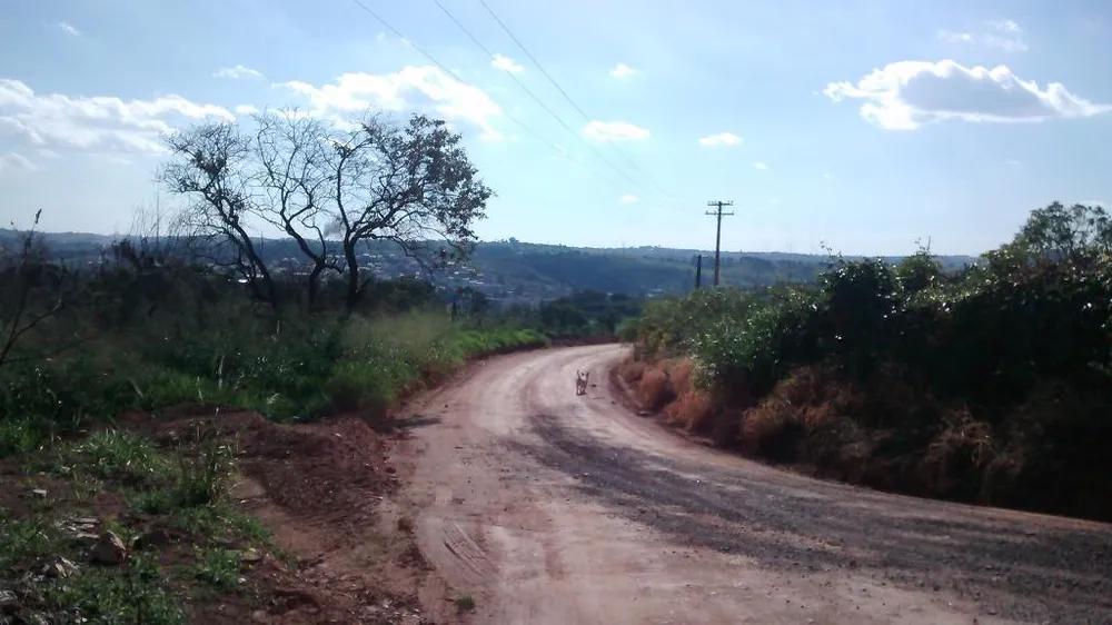 Terreno, 1 hectares - Foto 1