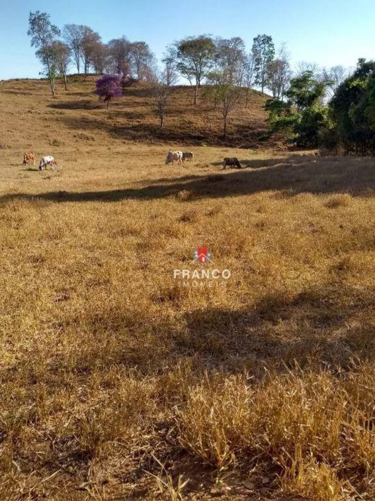 Fazenda, 44 hectares - Foto 1