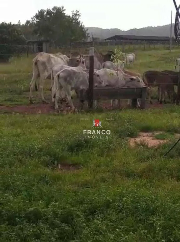 Fazenda, 44 hectares - Foto 2