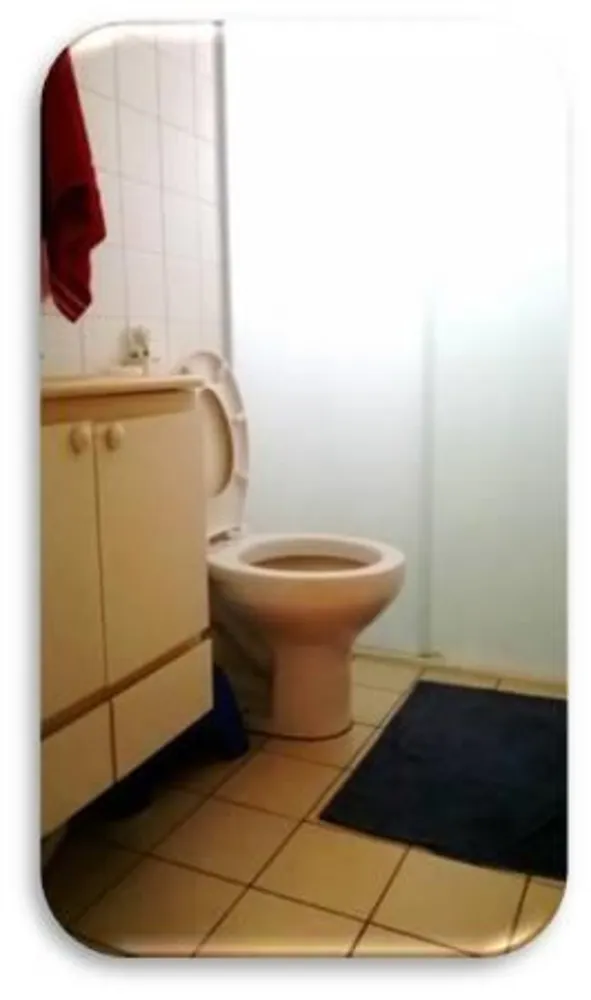 Apartamento, 3 quartos, 55 m² - Foto 3