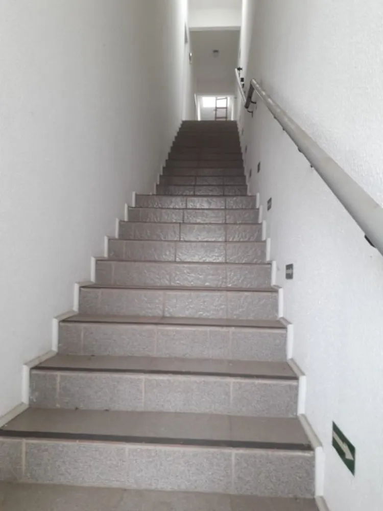 Sala-Conjunto, 250 m² - Foto 3