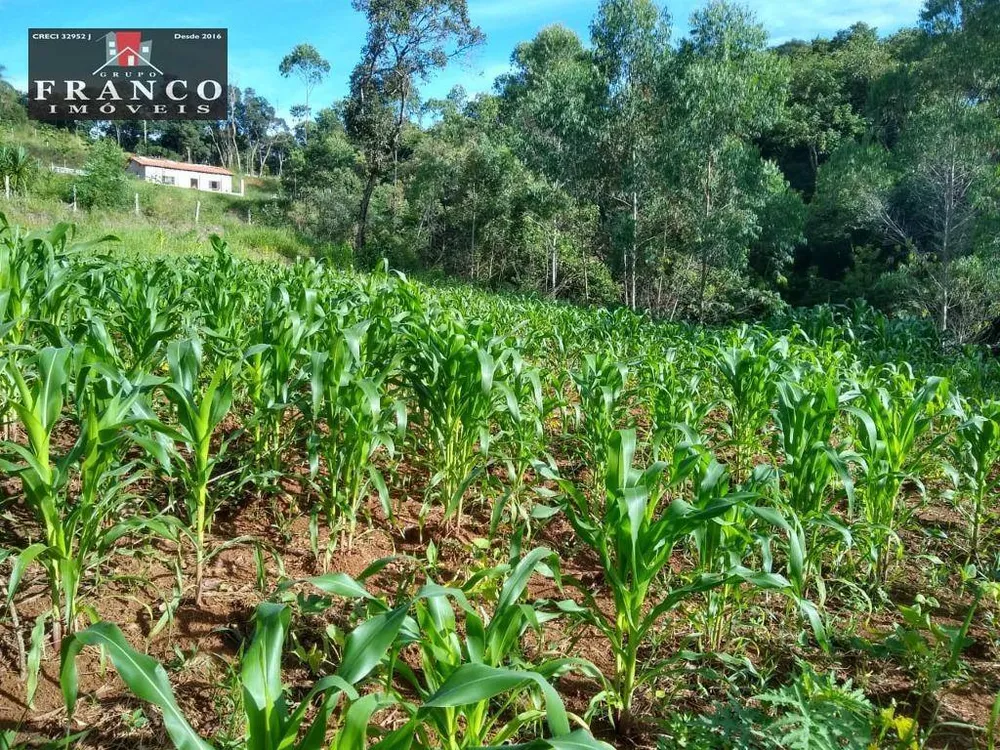 Terreno, 2000 m² - Foto 3