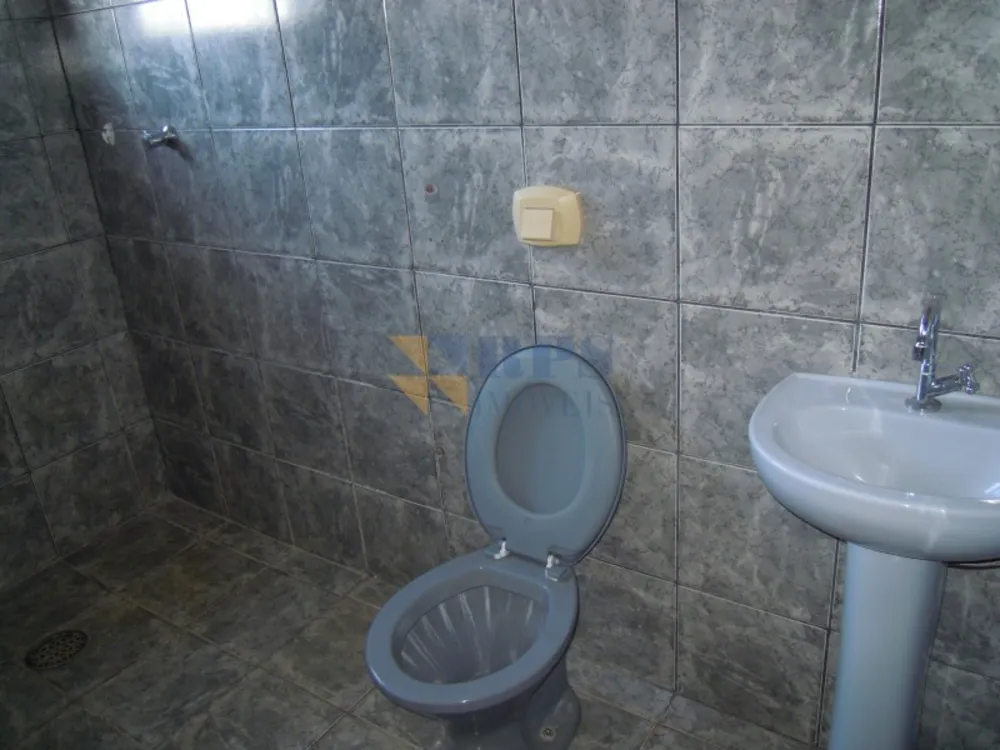Casa, 3 quartos, 223 m² - Foto 12
