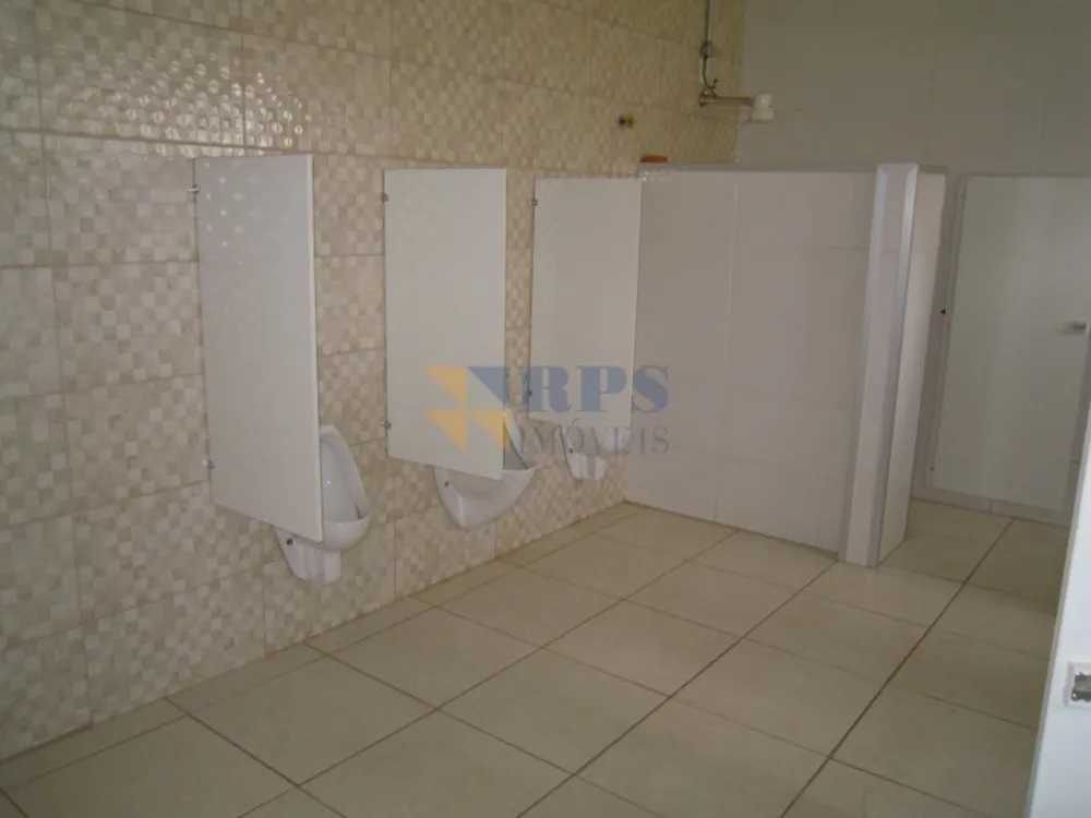 Chácara, 2 quartos, 5000 m² - Foto 8