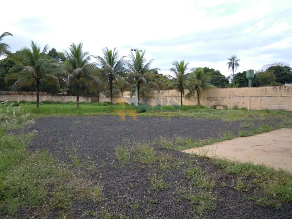 Chácara, 2 quartos, 5000 m² - Foto 2
