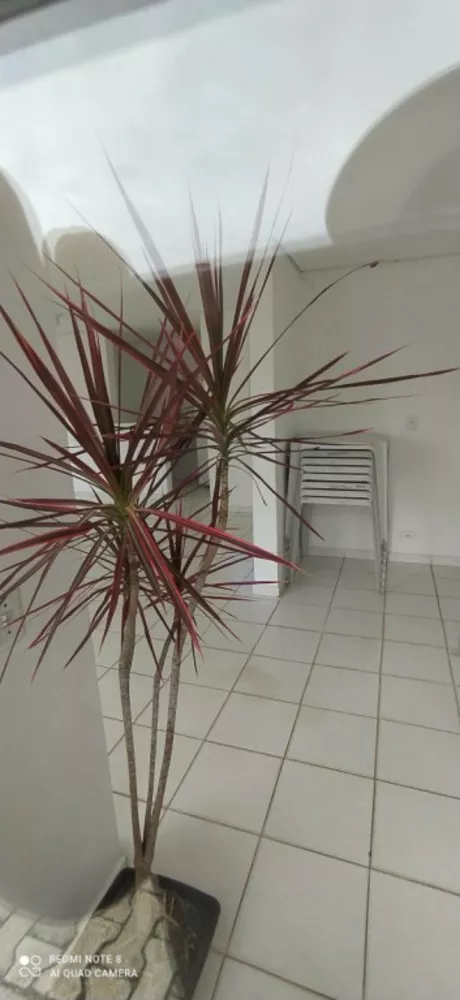 Apartamento, 2 quartos, 40 m² - Foto 3
