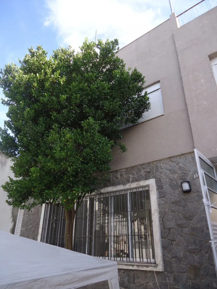 Apartamento, 4 quartos, 480 m² - Foto 1
