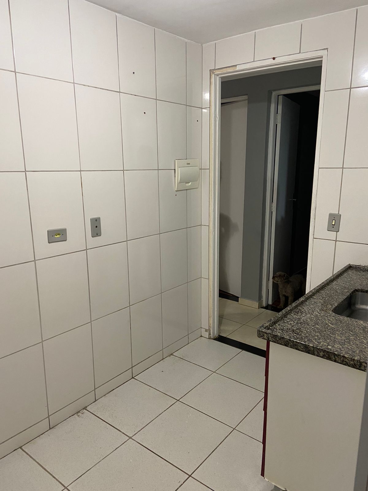 Apartamento à venda com 2 quartos, 49m² - Foto 10