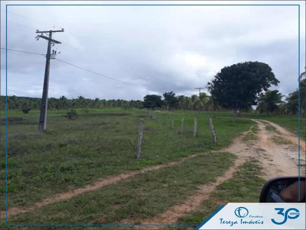 Fazenda, 4 quartos - Foto 3