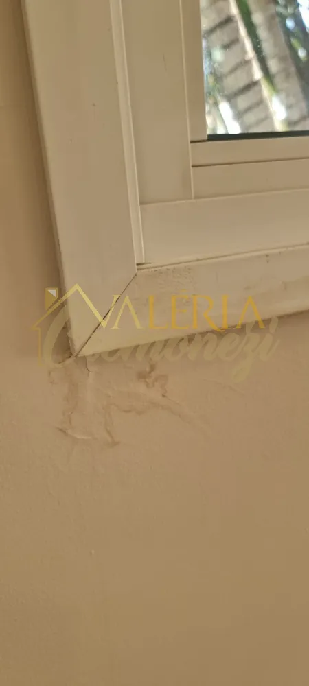 Casa, 4 quartos, 290 m² - Foto 9