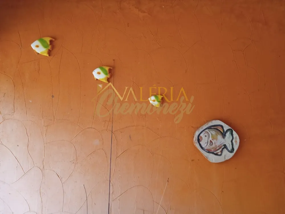 Chácara, 3 quartos, 326 m² - Foto 4