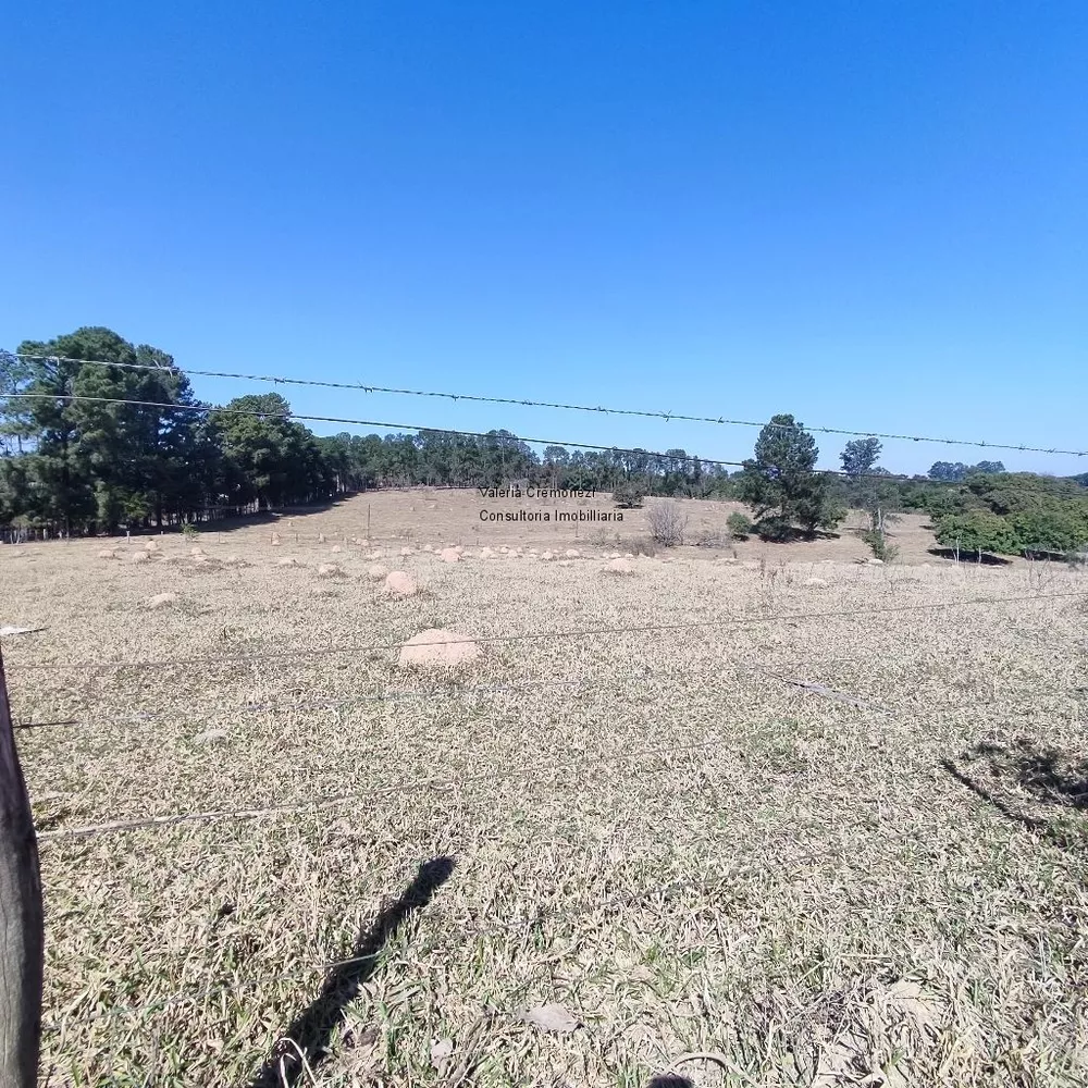 Terreno, 1500 m² - Foto 7