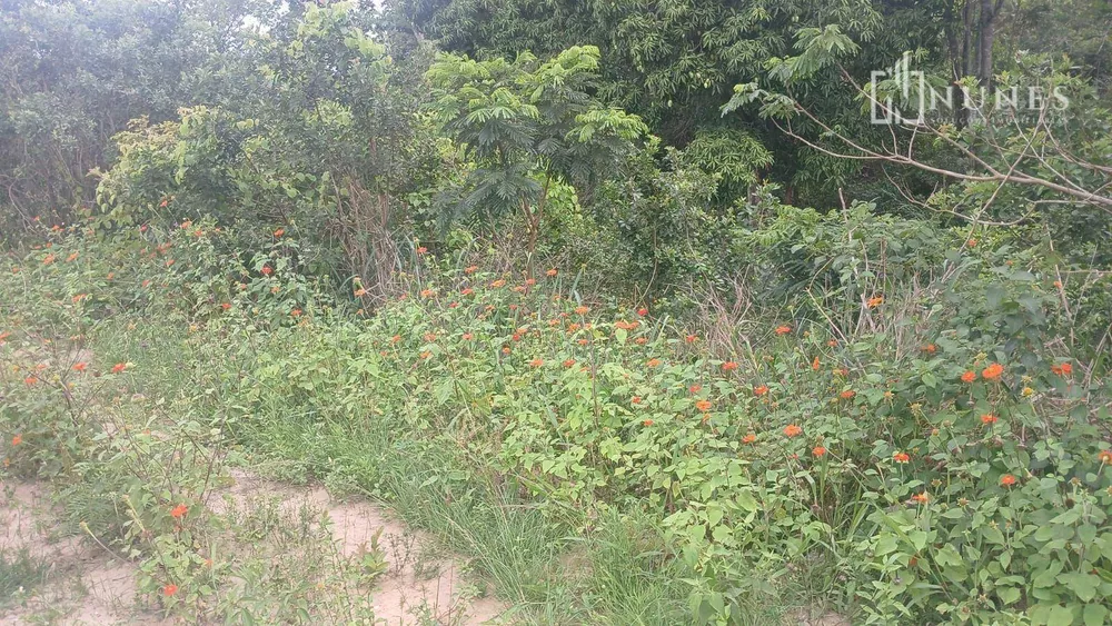 Terreno, 900 m² - Foto 1