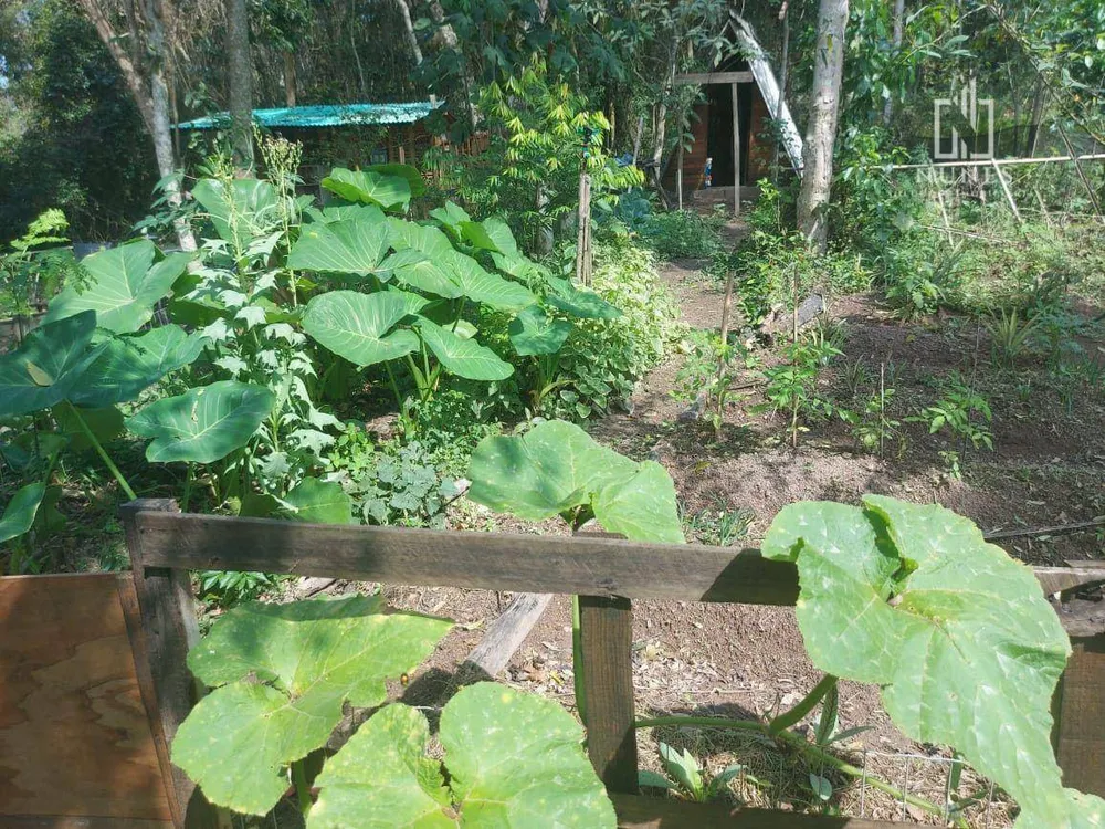 Sítio, 2 quartos, 4 hectares - Foto 31