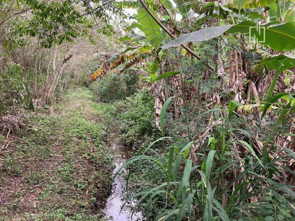 Sítio, 2 quartos, 4 hectares - Foto 40