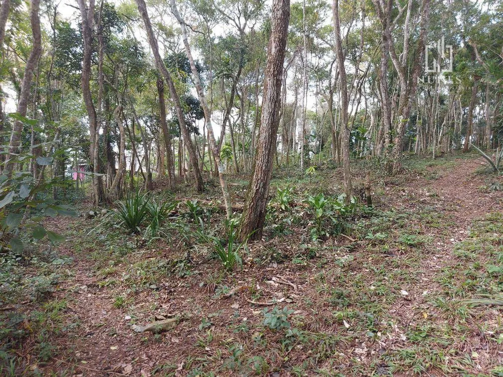 Sítio, 2 quartos, 4 hectares - Foto 23
