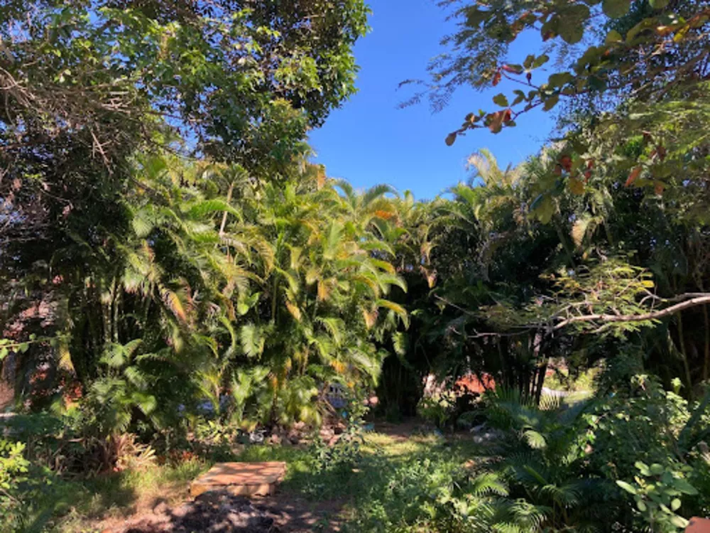 Casa, 6 quartos, 590 m² - Foto 2