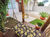 Casa, 3 quartos, 225 m² - Foto 1