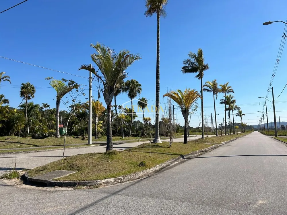 Terreno, 450 m² - Foto 3
