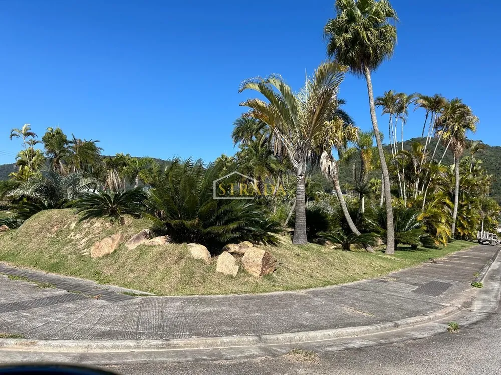 Terreno, 450 m² - Foto 11