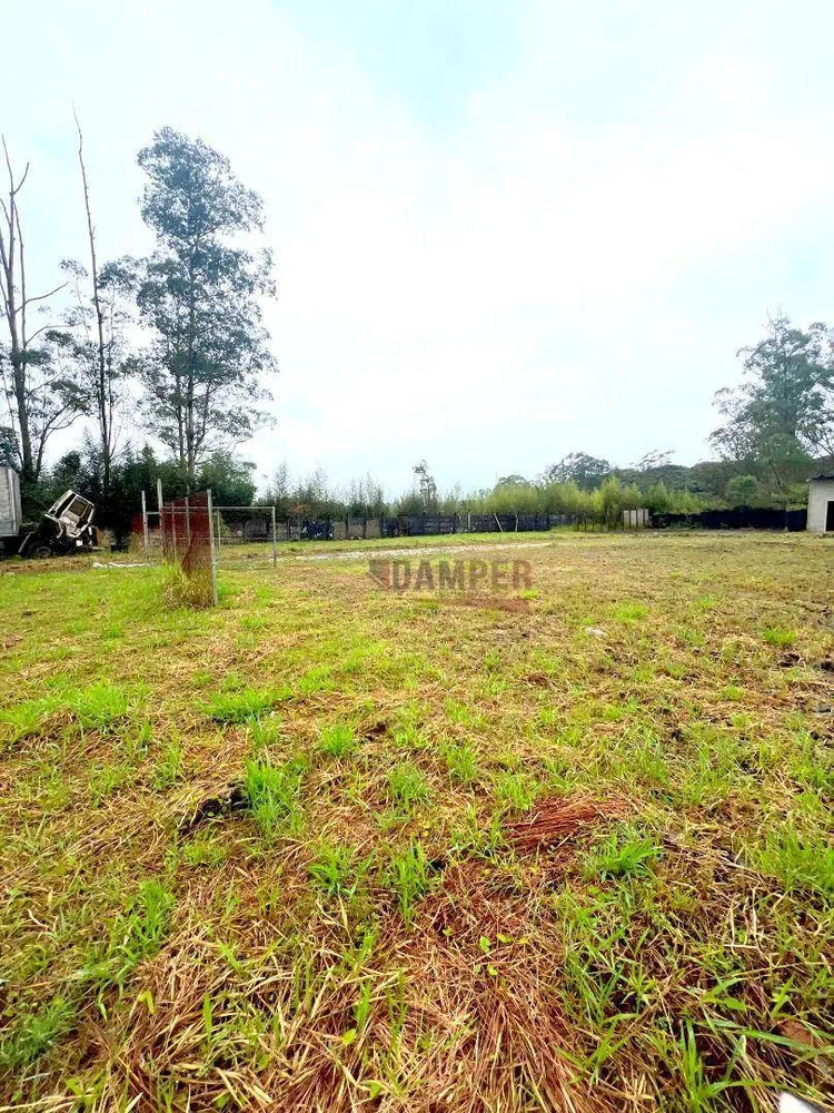 Depósito-Galpão, 3000 m² - Foto 10