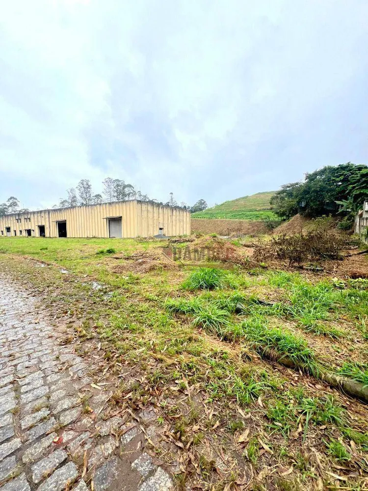 Depósito-Galpão, 3000 m² - Foto 3