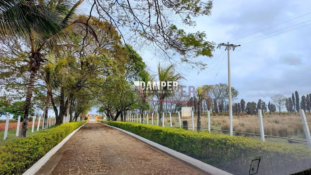 Sítio, 5 quartos, 22 hectares - Foto 13