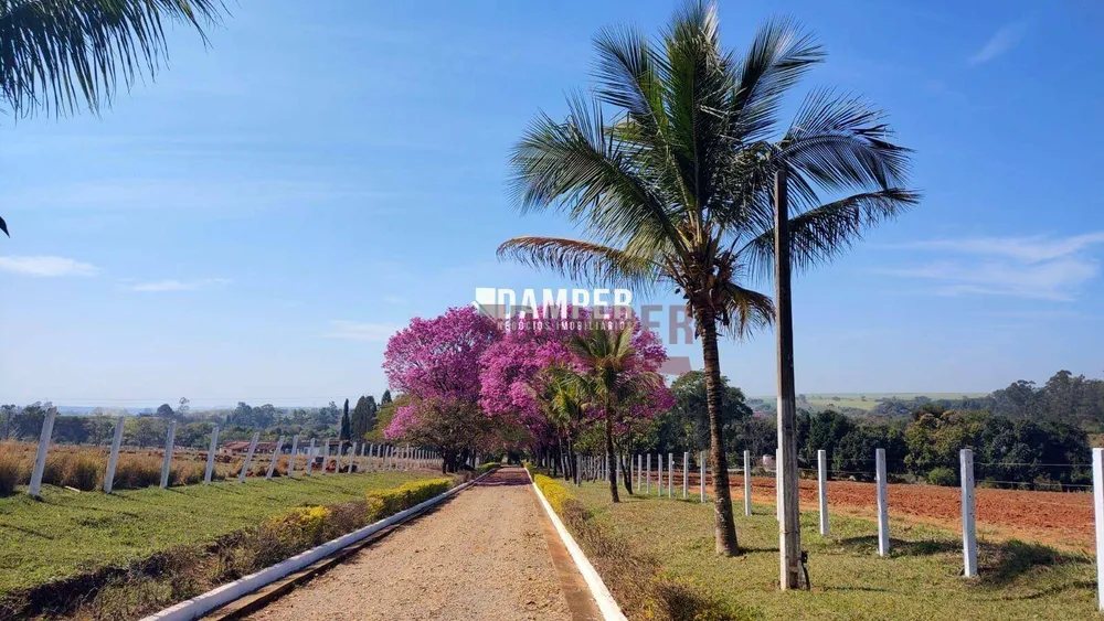 Sítio, 5 quartos, 22 hectares - Foto 8