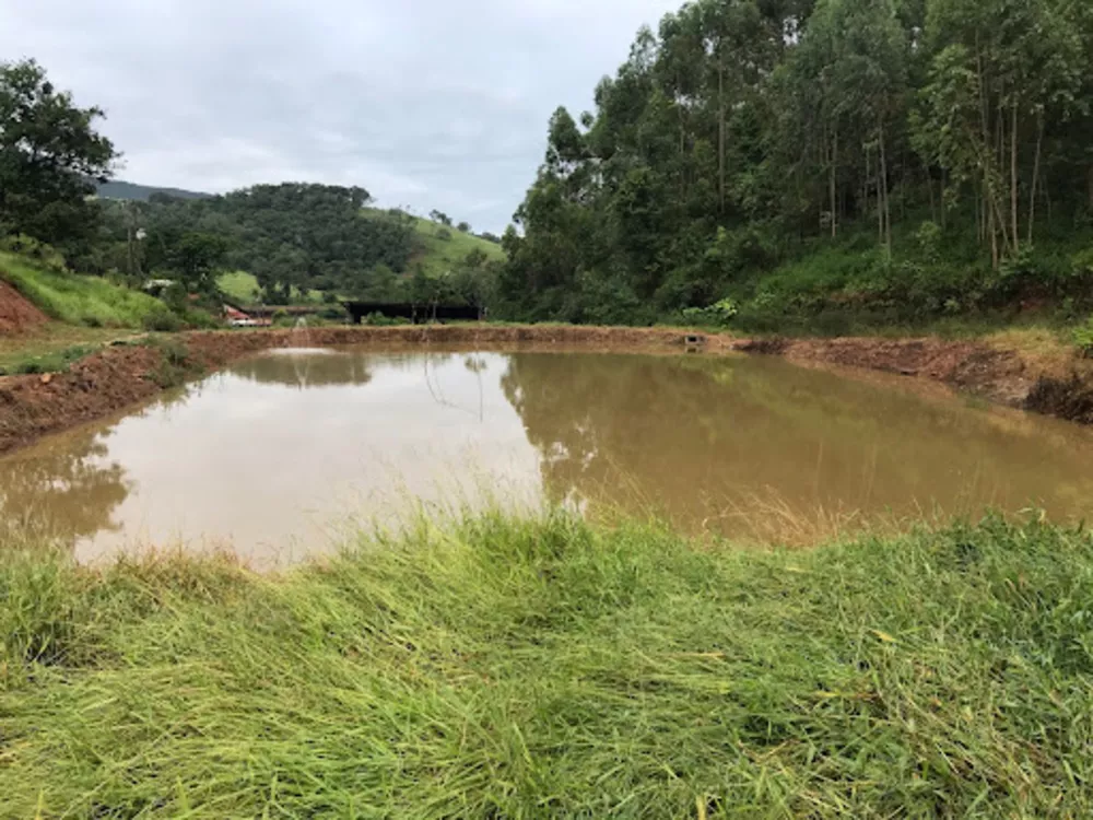 Fazenda, 10 hectares - Foto 2
