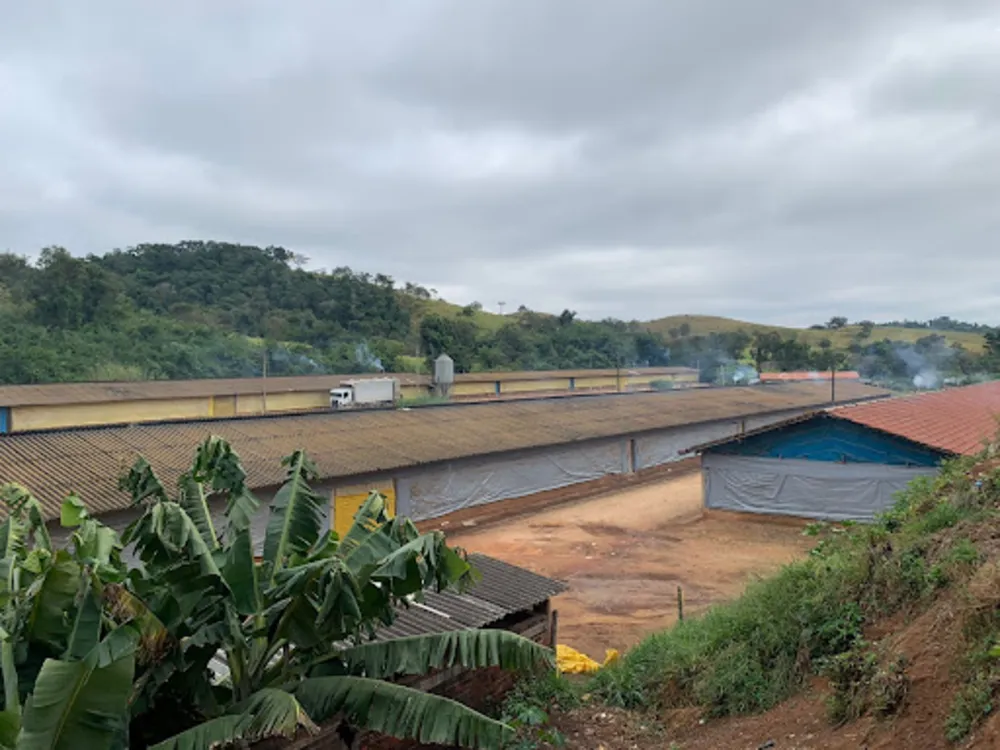 Fazenda, 10 hectares - Foto 8