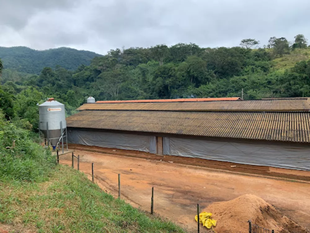 Fazenda, 10 hectares - Foto 1