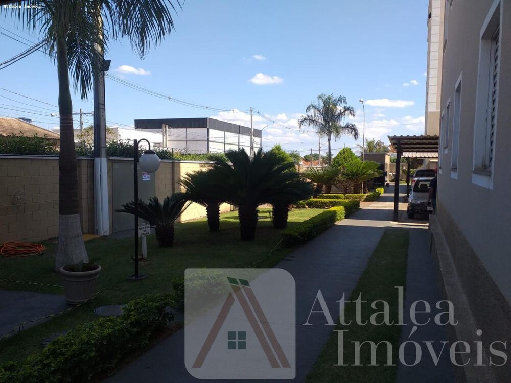Apartamento, 2 quartos - Foto 12