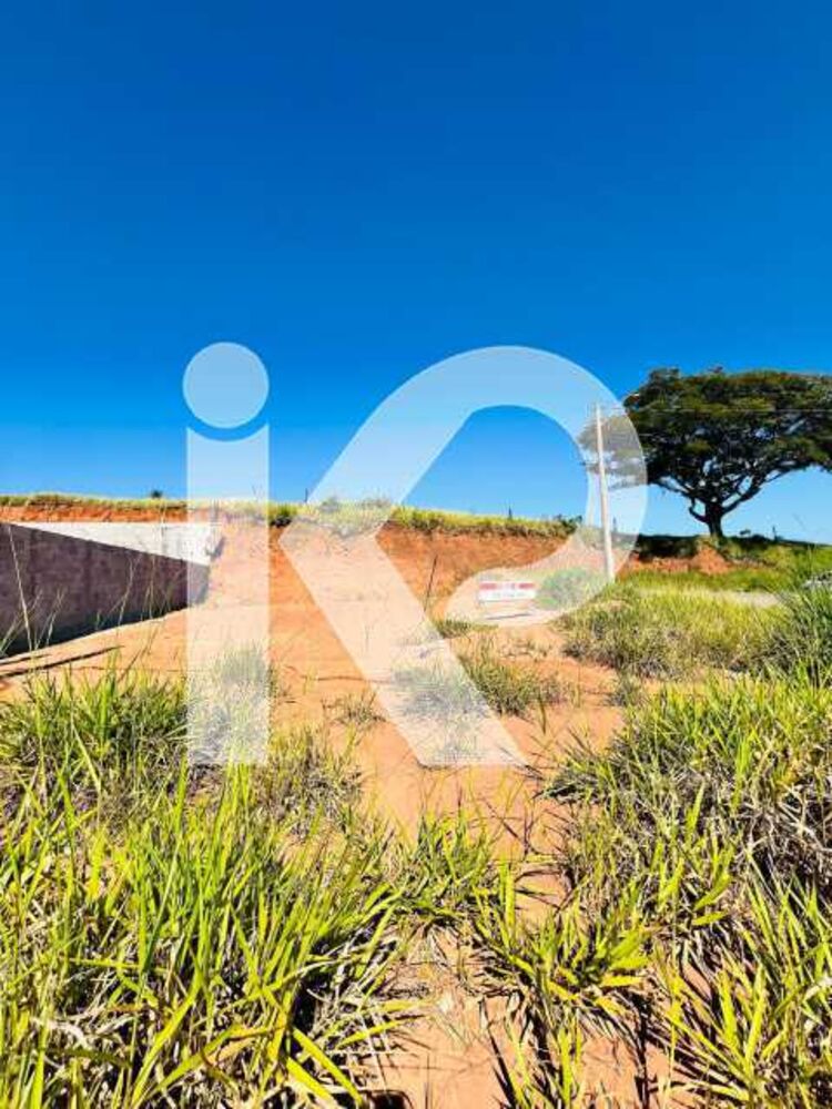 Terreno à venda, 354 - Foto 3