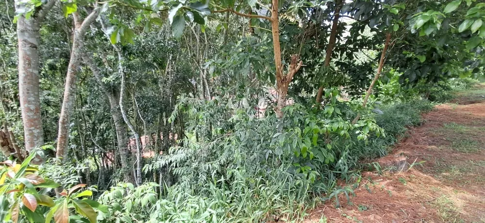 Terreno - Foto 3