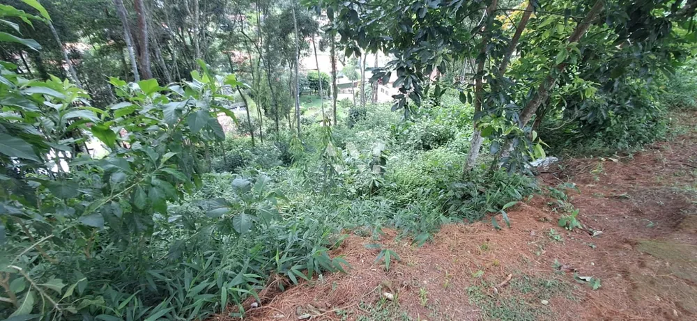 Terreno - Foto 1