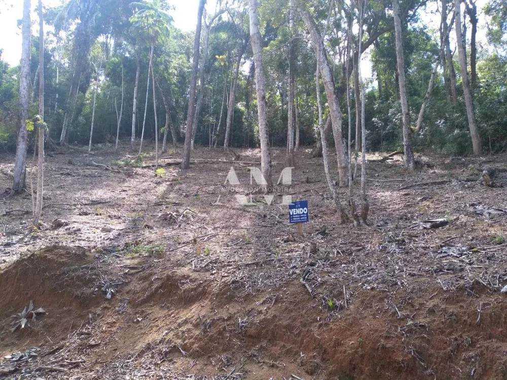 Terreno, 1500 m² - Foto 3